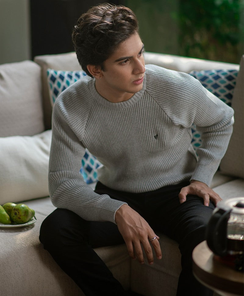 Grey Raglan Sweater Evo Zone