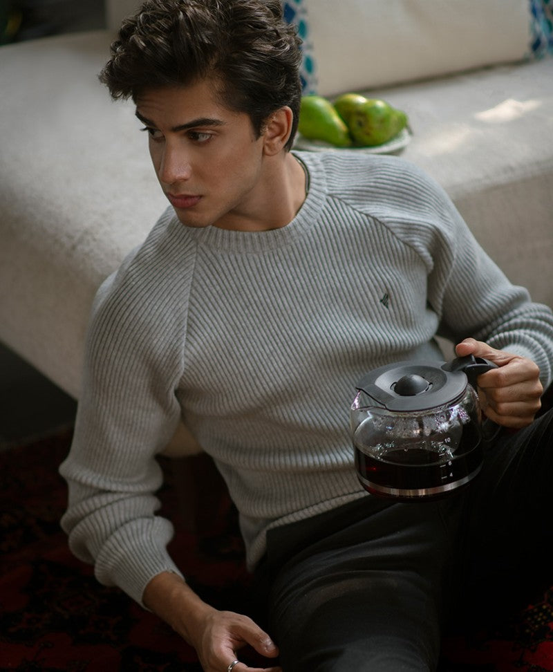 Grey Raglan Sweater Evo Zone