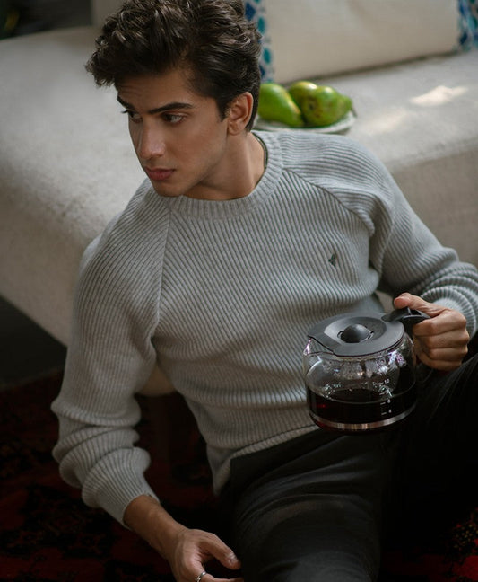 Grey Raglan Sweater Evo Zone