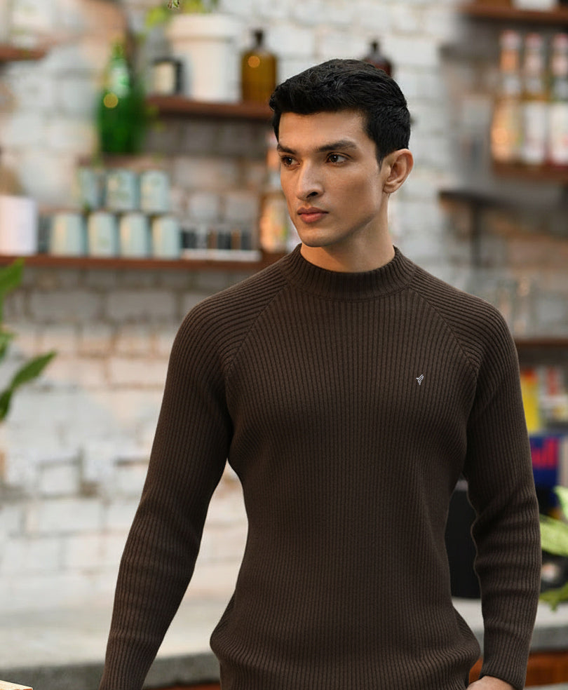 Evo Zone Chocolate Brown Mock Neck Sweater