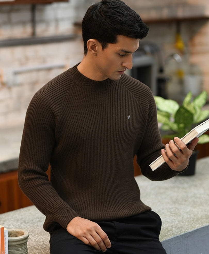 Evo Zone Chocolate Brown Mock Neck Sweater